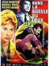 affiche du film Dans la gueule du loup 