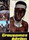 affiche du film L'Afrique secrète