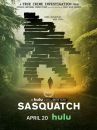 affiche de la série Sasquatch