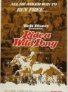 affiche du film Mais où est donc passé mon Poney ?