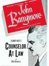 affiche du film Counsellor at Law