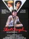 affiche du film Short Changed