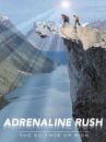affiche du film Adrénaline, la science du risque 
