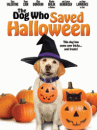 affiche du film Le chien d'Halloween