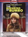 affiche du film The Breaking of Bumbo 
