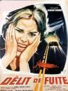 affiche du film Délit de fuite