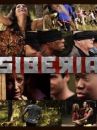 affiche de la série Siberia