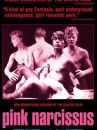 affiche du film Pink Narcissus