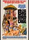 affiche du film The Big Bird Cage