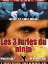 affiche du film Les 3 Furies du Ninja