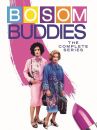 affiche de la série Bosom Buddies
