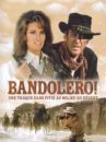 affiche du film Bandolero !