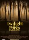 affiche du film Twilight in Forks, la véritable histoire de la ville culte ! 