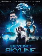 Beyond Skyline